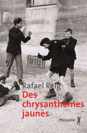 Des chrysanthèmes jaunes - Rafael Reig