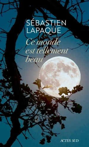 Ce monde est tellement beau - Sébastien Lapaque