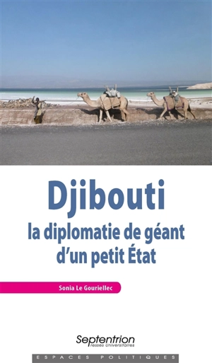 Djibouti : la diplomatie de géant d'un petit Etat - Sonia Le Gouriellec