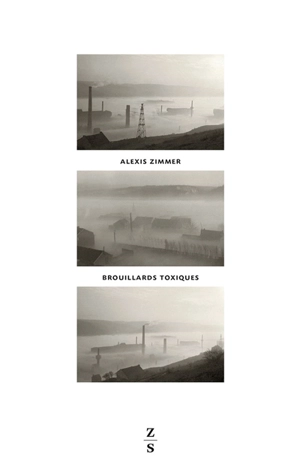 Brouillards toxiques : vallée de la Meuse, 1930, contre-enquête - Alexis Zimmer