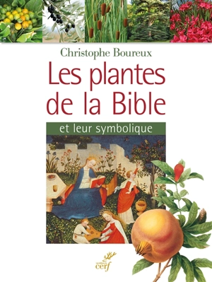 Les plantes de la Bible et leur symbolique - Christophe Boureux