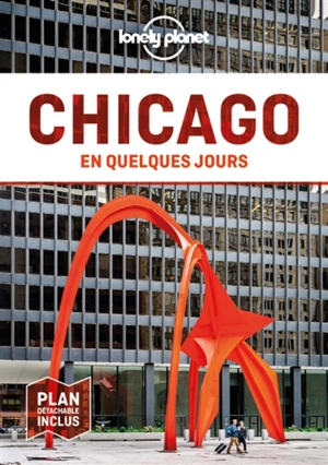 Chicago en quelques jours - Ali Lemer