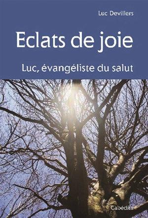 Eclats de joie : Luc, évangéliste du salut - Luc Devillers