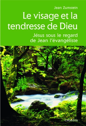 Le visage et la tendresse de Dieu : Jésus sous le regard de Jean l'évangéliste - Jean Zumstein