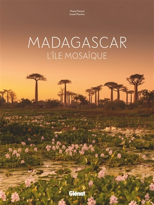 Madagascar : l'île mosaïque - Marie-Hélène Paturel