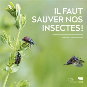 Il faut sauver nos insectes ! - Denis Richard