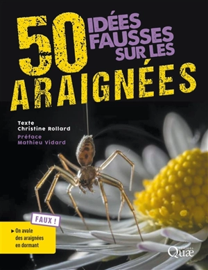 50 idées fausses sur les araignées - Christine Rollard