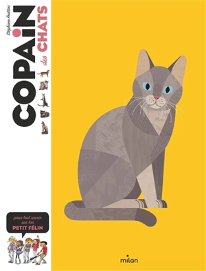 Copain des chats - Stéphane Frattini