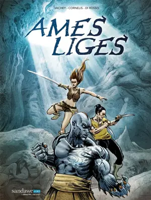 Ames liges - Olivier Vachey