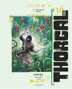 Thorgal. Vol. 36. Aniel - Yann