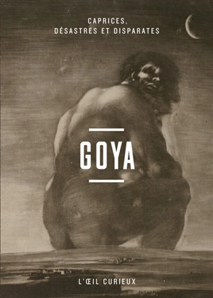 Goya : caprices, désastres et disparates - Sylvie Aubenas