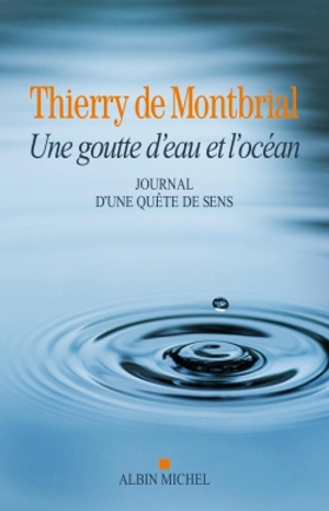 Une goutte d'eau et l'océan : journal d'une quête de sens : 1977-2014 - Thierry de Montbrial