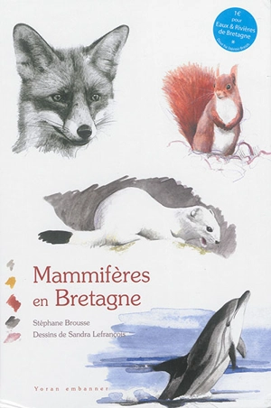 Mammifères en Bretagne - Stéphane Brousse