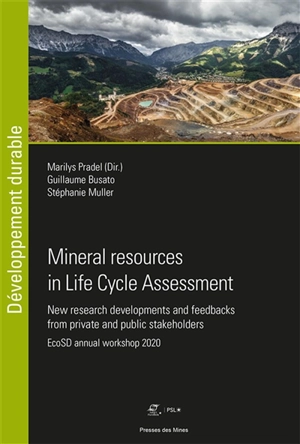 Mineral resources in Life cycle assessment : new research developments and feedbacks from private and public stakeholders - Réseau EcoSD (France). Annual workshop (2020)