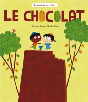 Le chocolat - Sandrine Dumas Roy