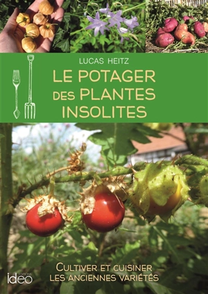 Un potager insolite : Cultivez des légumes originaux !