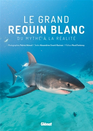 Le grand requin blanc : du mythe à la réalité - Patrice Héraud