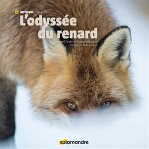 L'odyssée du renard - Laurent Geslin