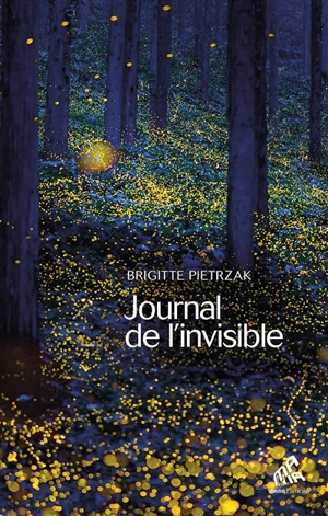 Journal de l'invisible - Brigitte Pietrzak