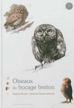 Oiseaux du bocage breton - Stéphane Brousse