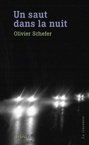 Un saut dans la nuit - Olivier Schefer