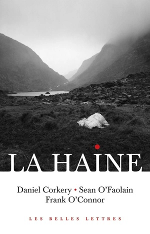 La haine - Daniel Corkery