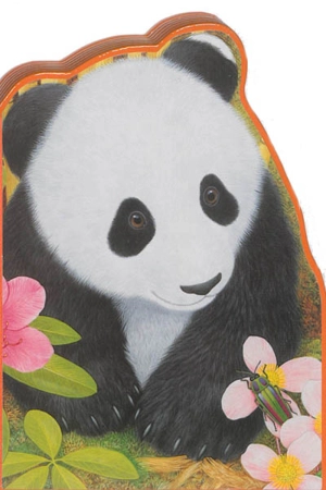 Ping le panda : la Chine - Lucile Galliot