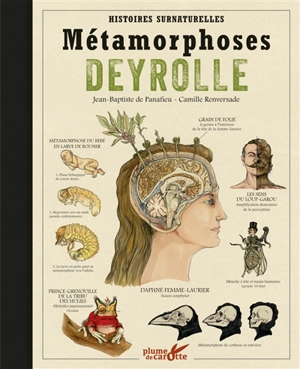 Métamorphoses Deyrolle : histoires surnaturelles - Jean-Baptiste de Panafieu
