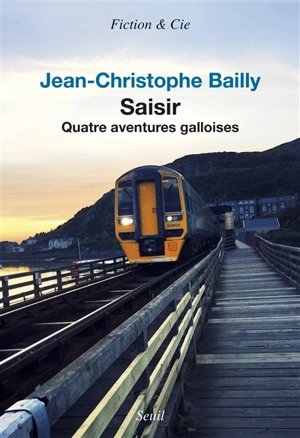 Saisir : quatre aventures galloises - Jean-Christophe Bailly