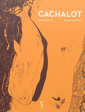 Cachalot - Daniel Galera