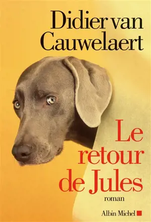 Le retour de Jules - Didier Van Cauwelaert
