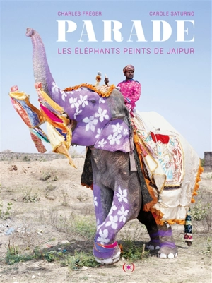 Parade : les éléphants peints de Jaipur - Charles Fréger