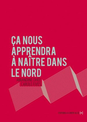 Ça nous apprendra à naître dans le Nord - Amandine Dhée