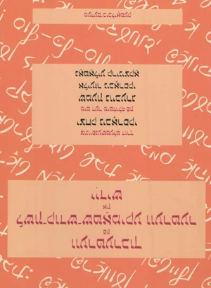 Dictionnaire des mots d'origine hébraïque et araméenne en usage dans la langue yiddish - Yitskhok Niborski