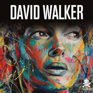 David Walker : beautiful chaos - Marie Aschehoug-Clauteaux