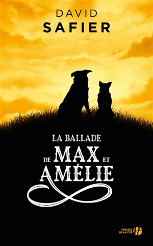 La ballade de Max et Amélie - David Safier