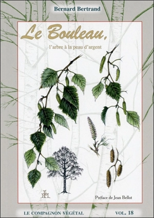 Le bouleau : l'arbre à la peau d'argent - Bernard Bertrand