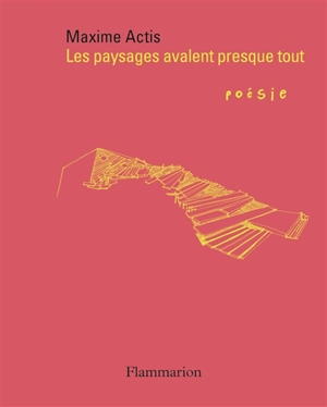 Les paysages avalent presque tout - Maxime Actis