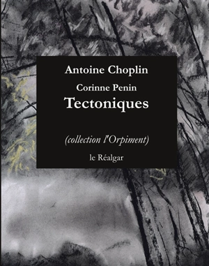 Tectoniques - Antoine Choplin
