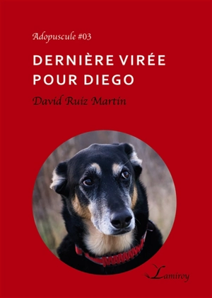 Dernière virée pour Diego - David Ruiz Martin