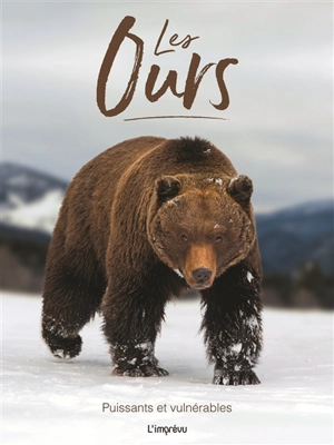 Les ours : puissants et vulnérables - Tom Jackson