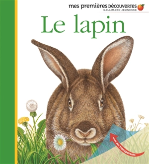 Le lapin - Pierre de Hugo