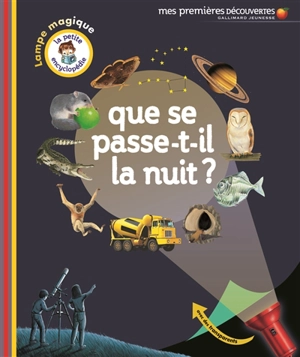 Que se passe-t-il la nuit ? - Delphine Gravier-Badreddine