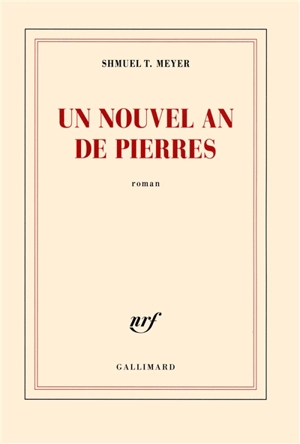 Un nouvel an de pierres - Shmuel T. Meyer