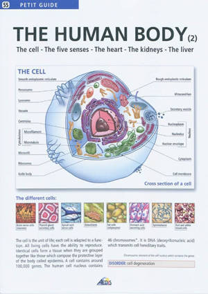 The human body. Vol. 2. The cell, the five senses, the heart, the kidneys, the liver - Henri Medori