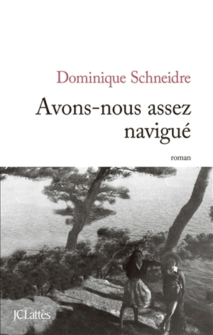 Avons-nous assez navigué - Dominique Schneidre