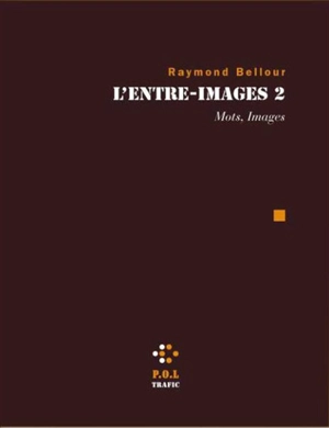 L'entre-images. Vol. 2. Mots, images - Raymond Bellour