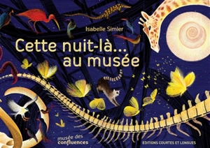 Cette nuit-là... au musée - Isabelle Simler