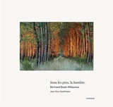 Sous les pins, la lumière - Bertrand Bouët-Willaumez