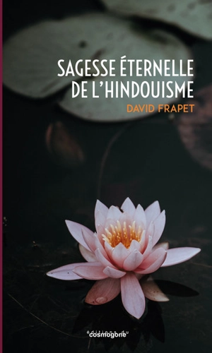 Sagesse éternelle de l'hindouisme - David Frapet